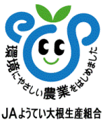 JAようてい大根生産組合