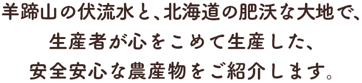 羊蹄山の伏流水と、北海道の肥沃な大地で、生産者が心をこめて生産した、安全安心な農産物をご紹介します。